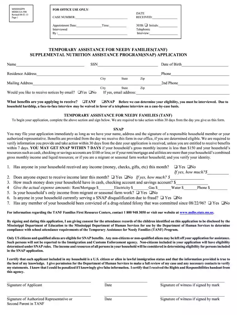 food stamp application Preview on Page 1
