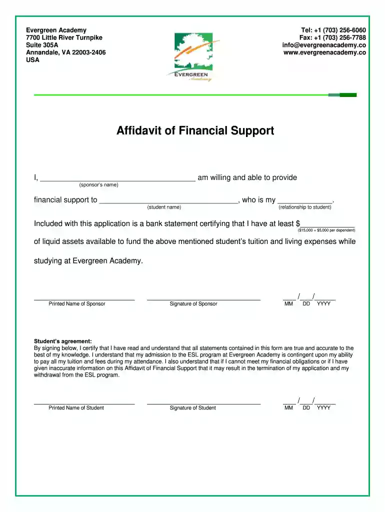 financial baffidavitb Preview on Page 1