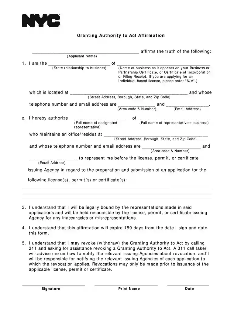 authority to act form Preview on Page 1