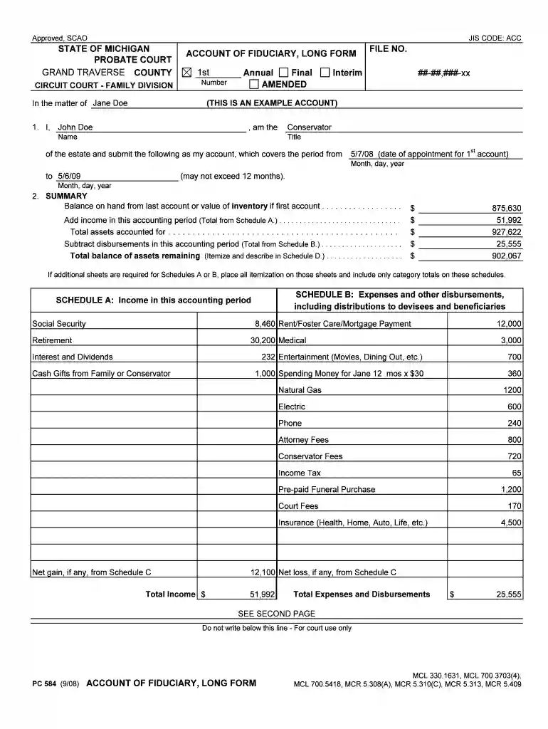account of fiduciary short form michigan 2008 Preview on Page 1