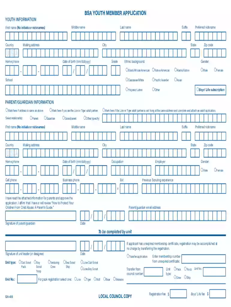 bsa youth application Preview on Page 1