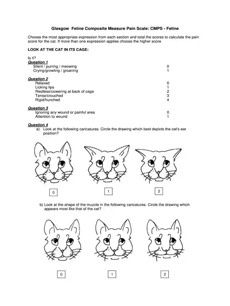 glasgow pain score cats Preview on Page 1