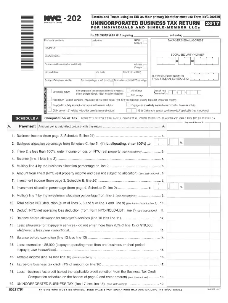 nyc 202 2017-2019 form Preview on Page 1