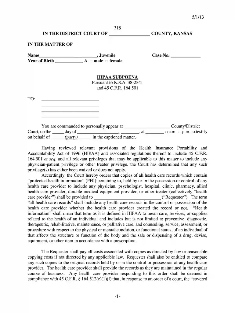 5 1 13 318 IN THE DISTRICT COURT OF COUNTY, KANSAS IN THE MATTER OF Name , Juvenile Year of Birth A Preview on Page 1