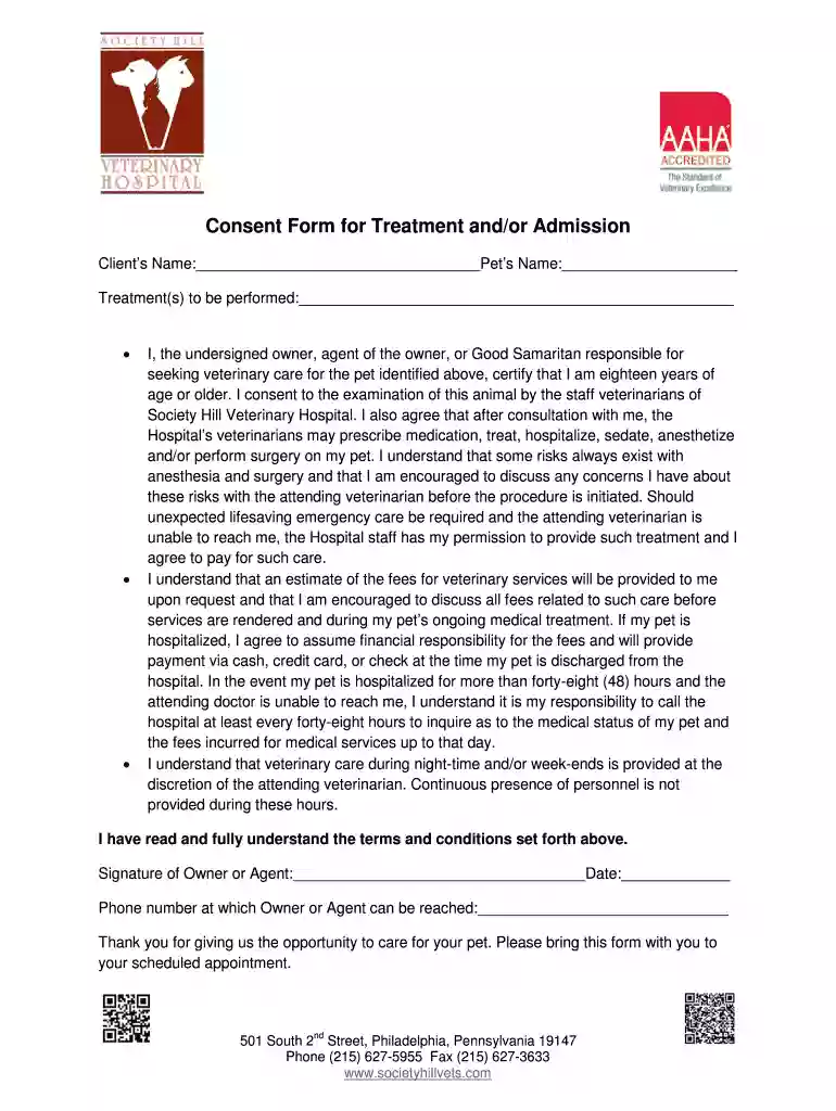 Veterinary Treatment Consent Form Preview on Page 1