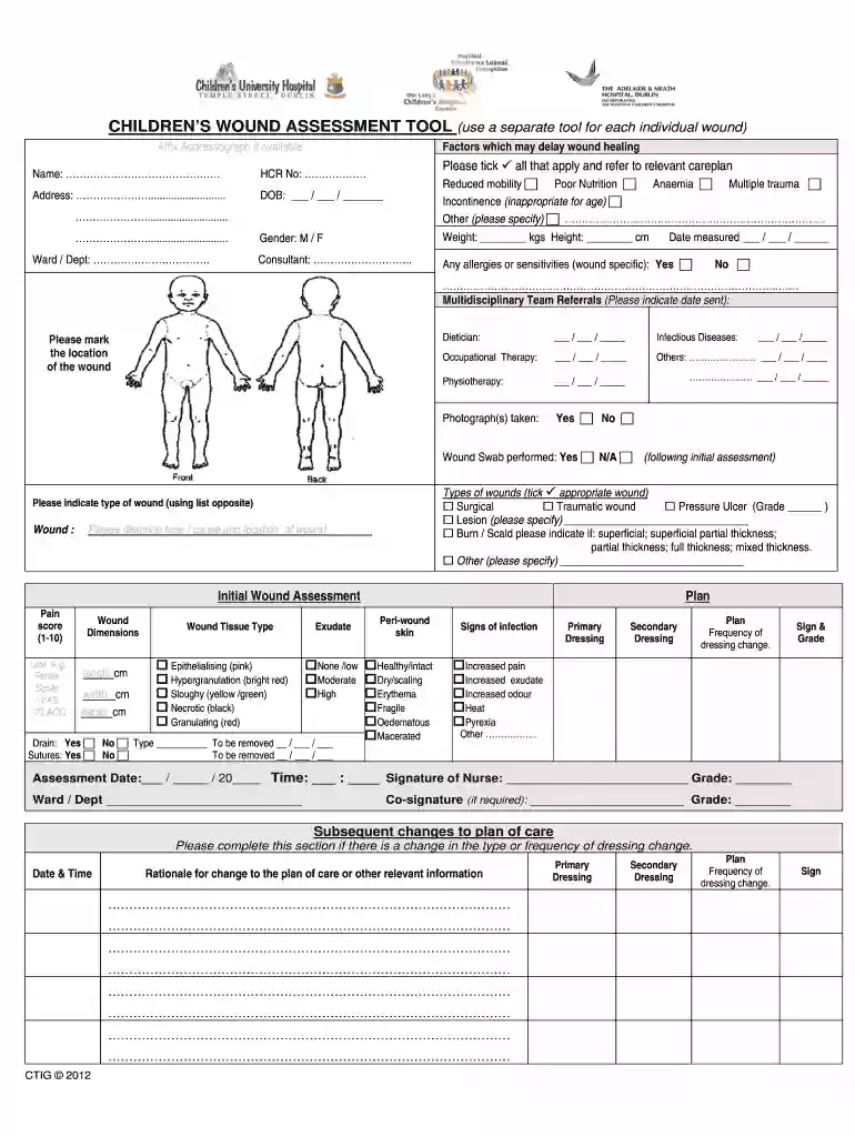 wound assessment form pdf Preview on Page 1