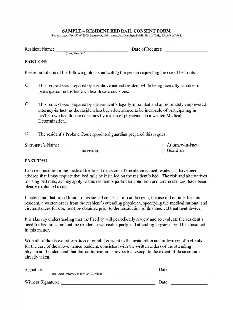bed rail consent form Preview on Page 1