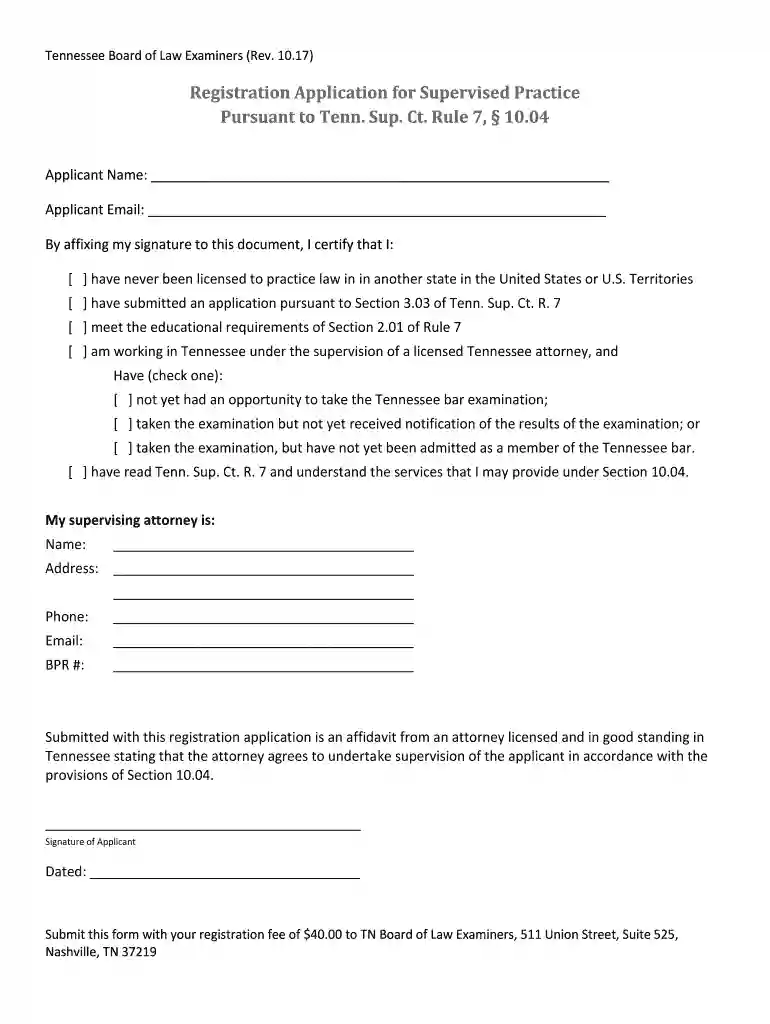 supervised visitation forms Preview on Page 1
