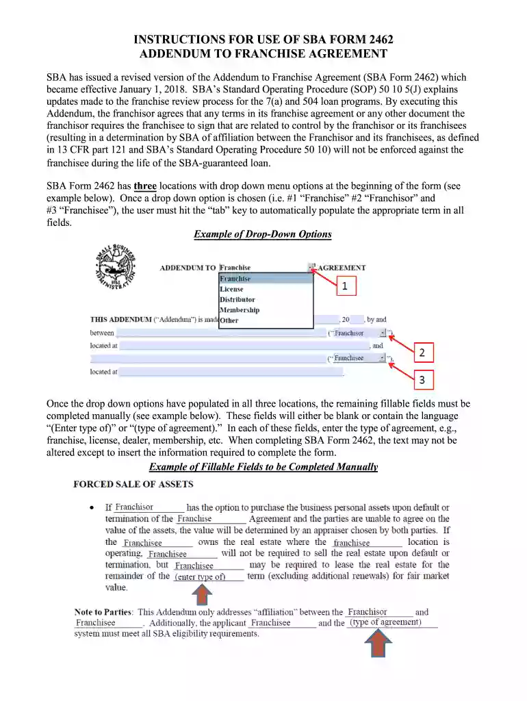 sba form 2462 Preview on Page 1