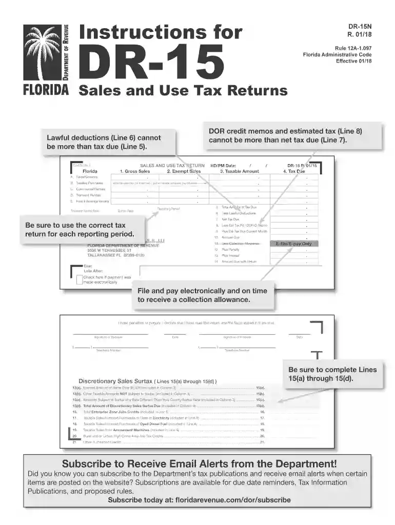 dr15n 2018-2019 form Preview on Page 1