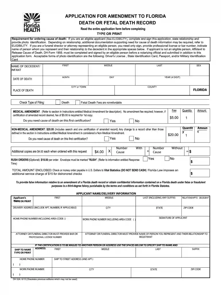 application for amendment to florida birth record Preview on Page 1