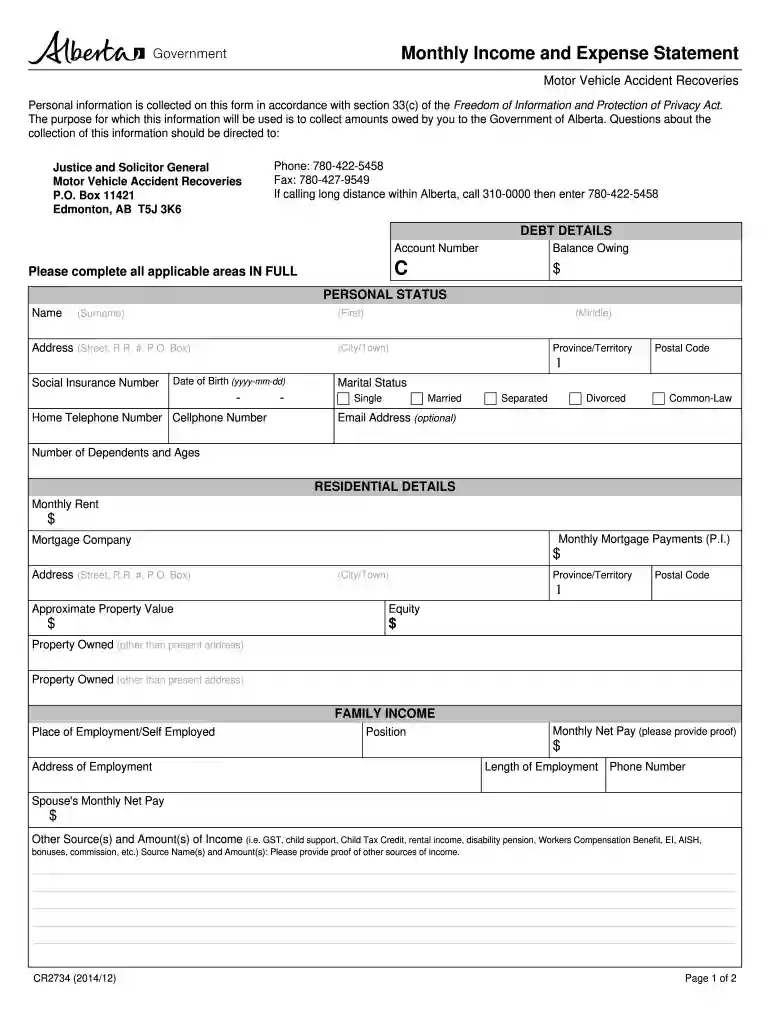 monthly income form Preview on Page 1