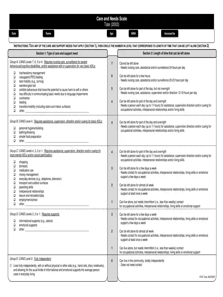 care and needs scale online Preview on Page 1