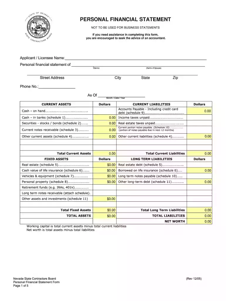nevada financial statement Preview on Page 1
