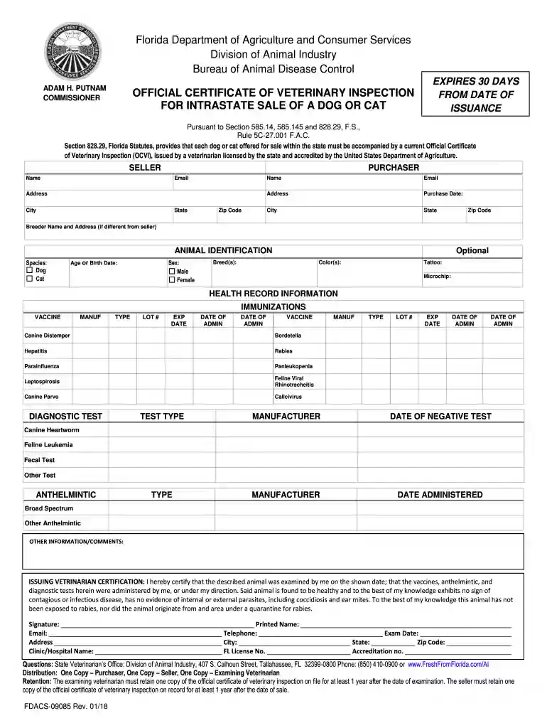 florida health certificate Preview on Page 1