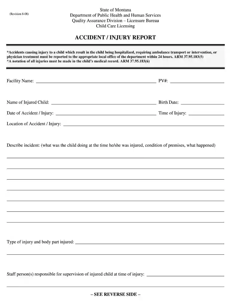 Fillable Online dphhs mt ACCIDENT INJURY REPORT ... Preview on Page 1