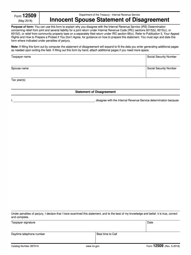 form 12509 Preview on Page 1