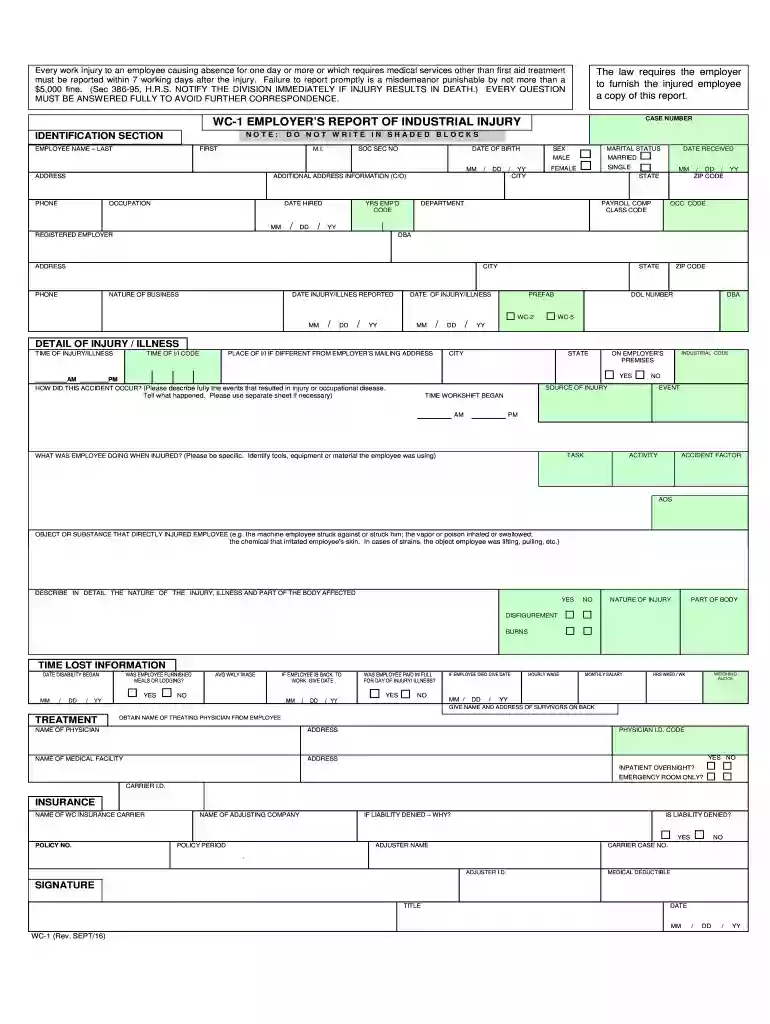 wc 1 form hawaii Preview on Page 1