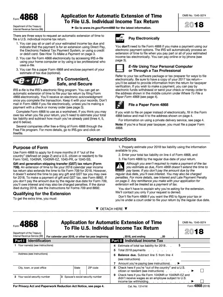 2018 file return Preview on Page 1