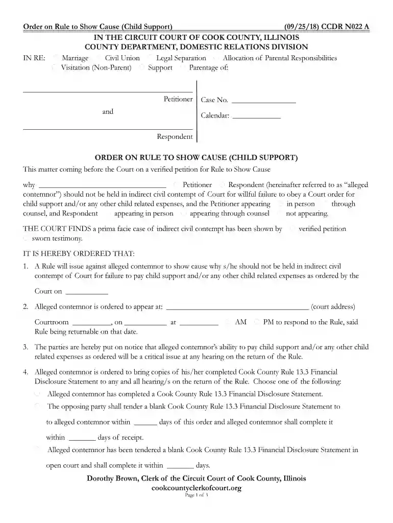 CCDR N022 - Clerk of the Circuit Court of Cook County Preview on Page 1