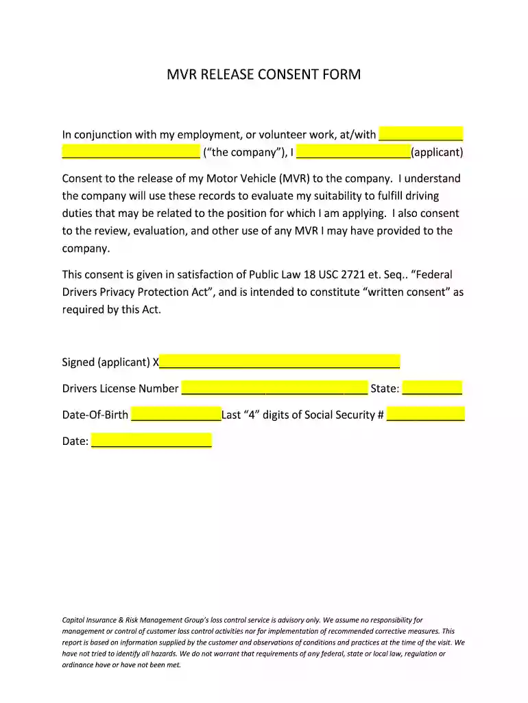 mvr consent form Preview on Page 1