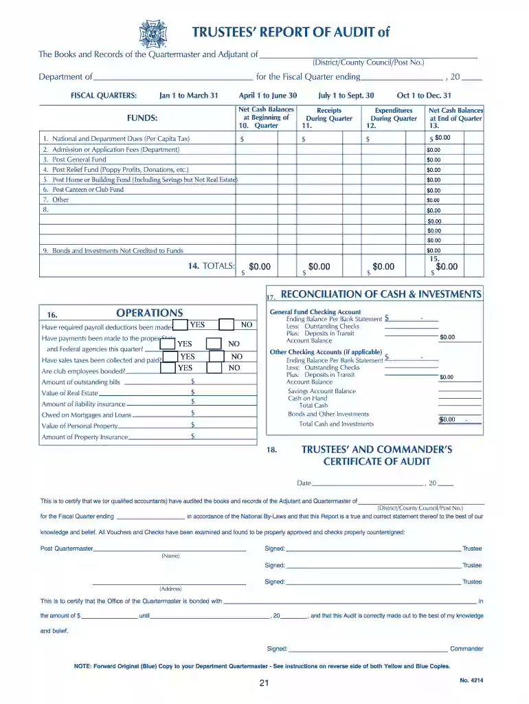 vfw auxiliary audit form Preview on Page 1
