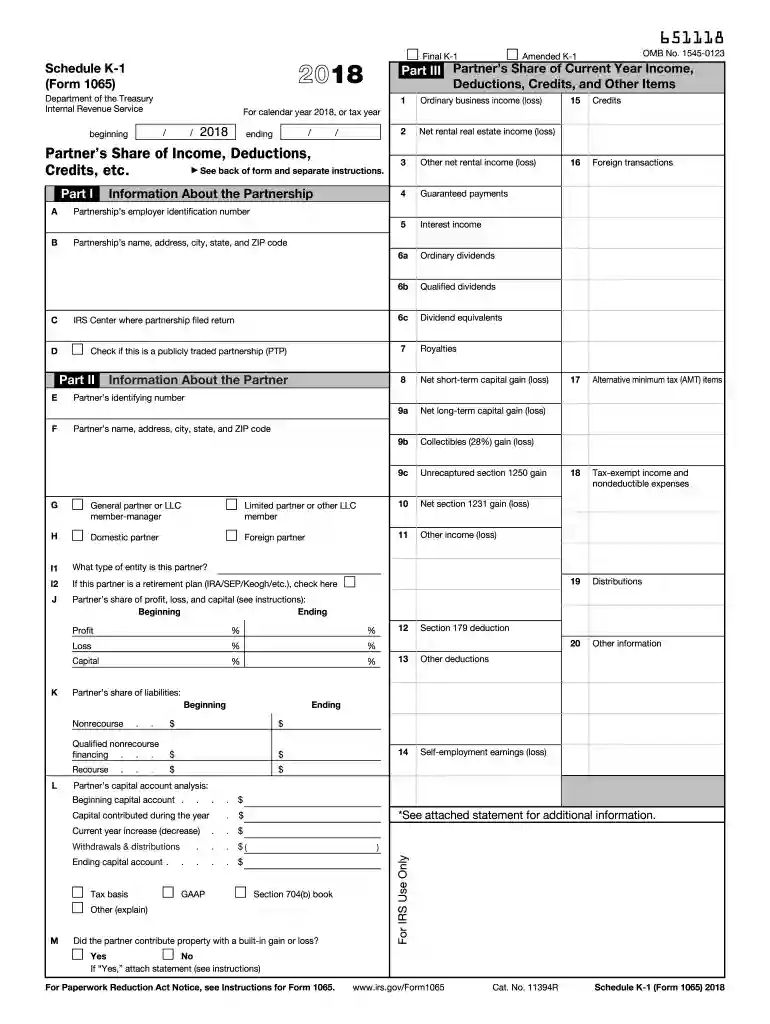 2018 form k 1 Preview on Page 1