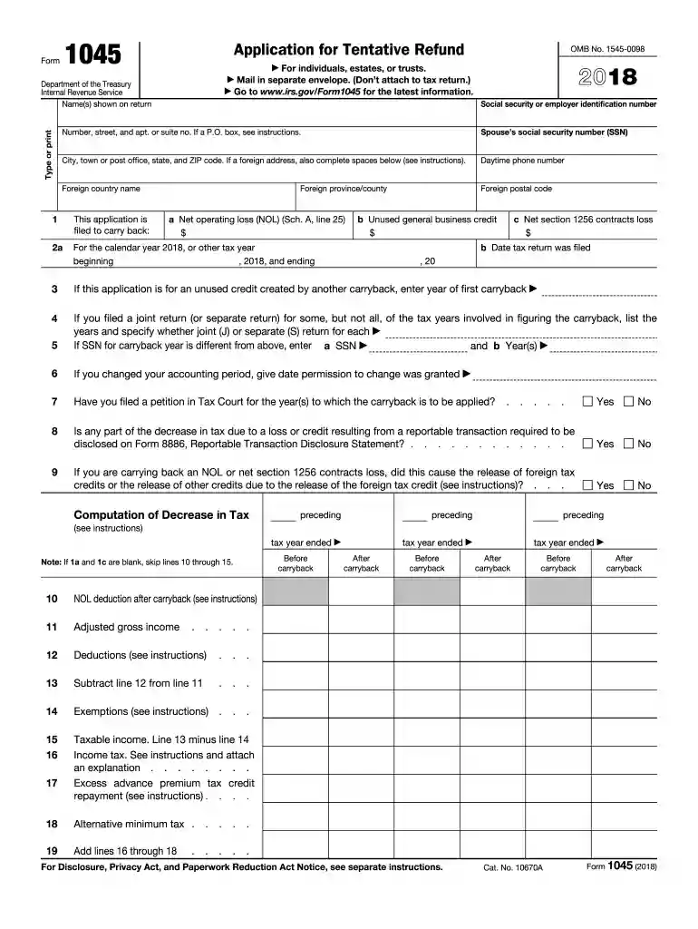 form 1045 Preview on Page 1