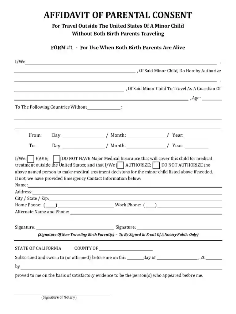 notarized consent form Preview on Page 1