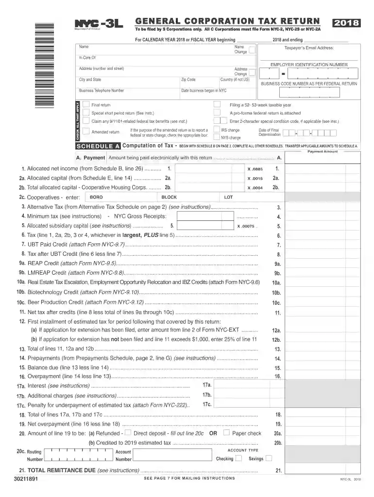 nyc 2a instructions 2021 Preview on Page 1