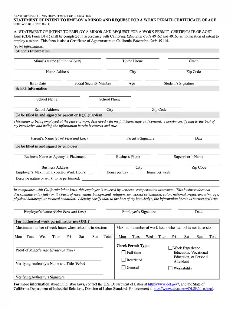 apply for work permit form Preview on Page 1