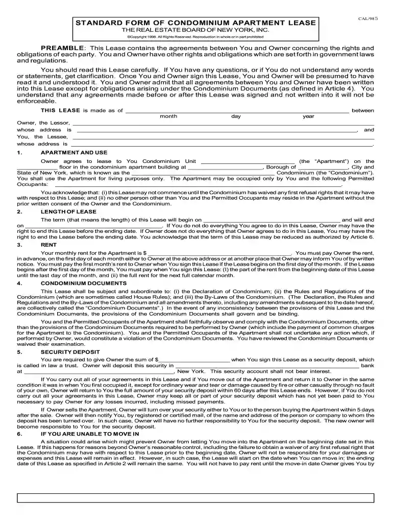 standard form of condominium apartment lease nyc Preview on Page 1