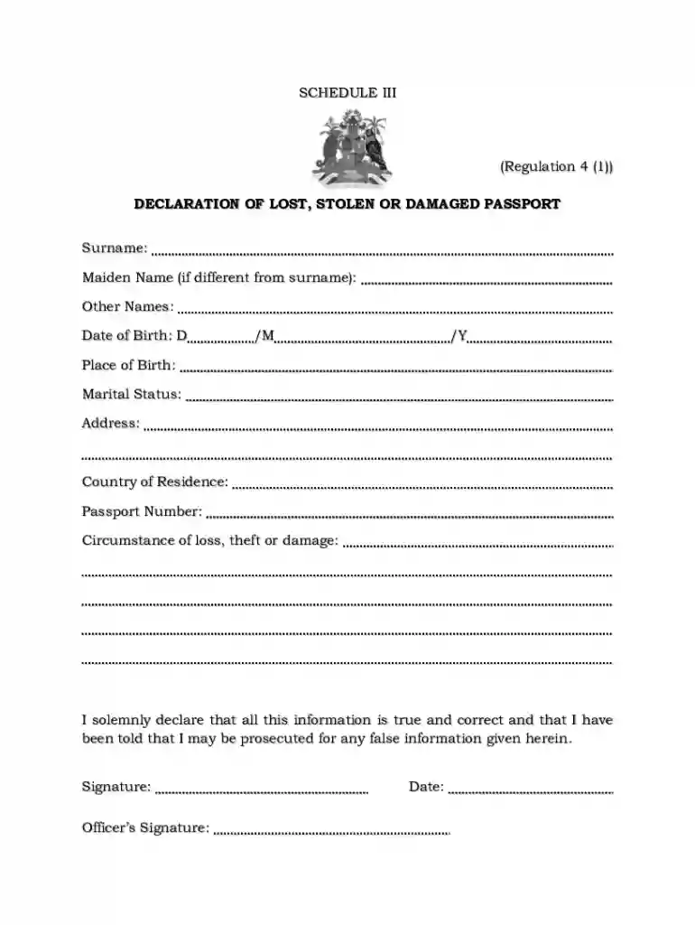 Declaration of Lost Stolen or Damaged Passport Preview on Page 1