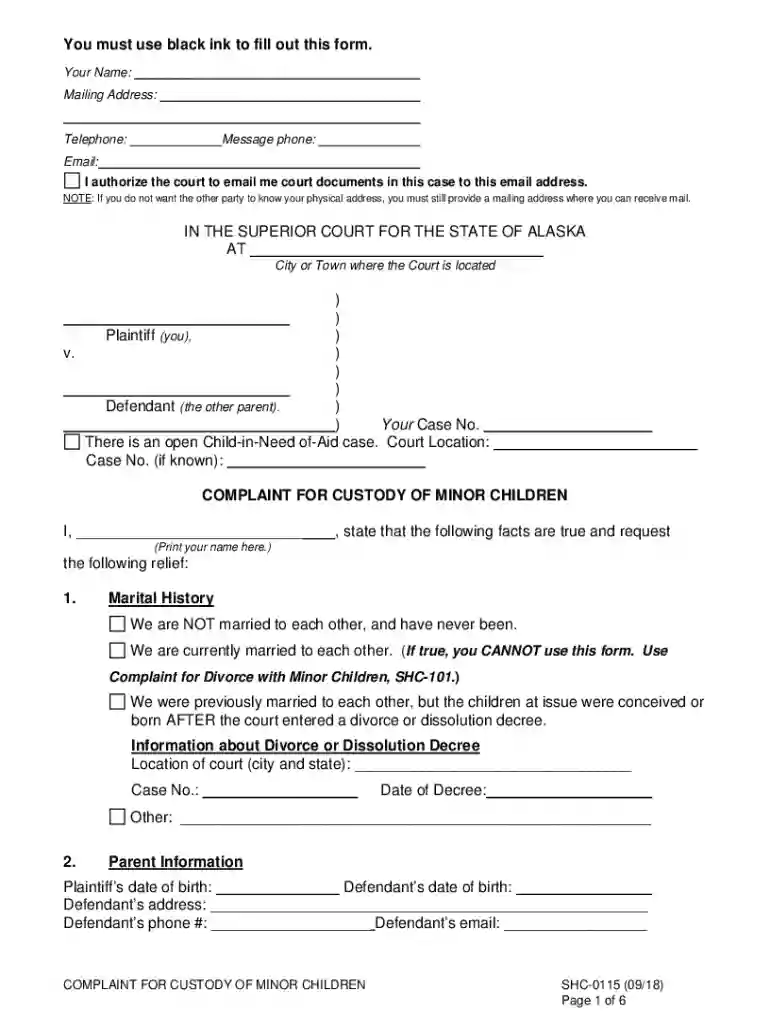 Complaint for Custody of Minor Children Preview on Page 1