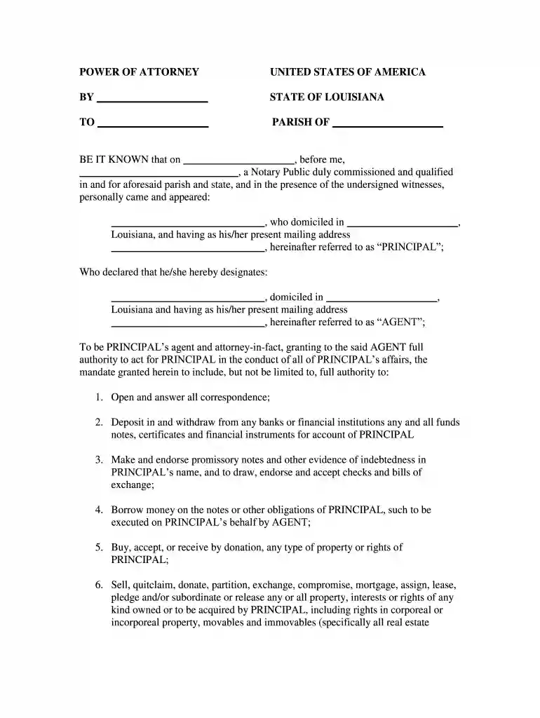 power attorney form Preview on Page 1
