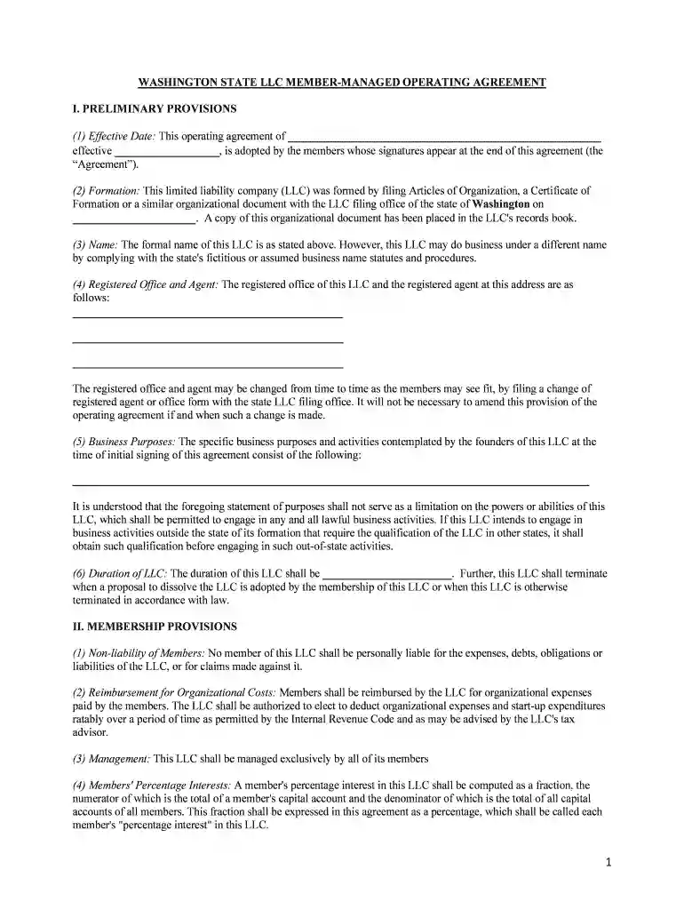 state limited liability company Preview on Page 1