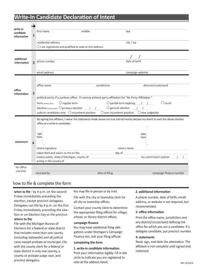 Michigan Write-In Candidate Declaration of Intent Preview on Page 1