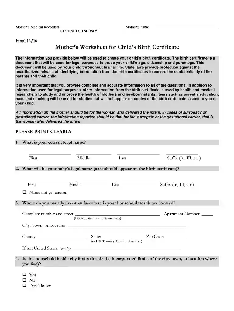 mothers worksheet birth certificate Preview on Page 1
