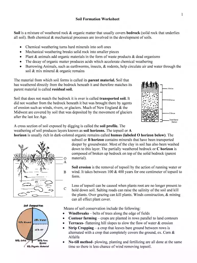 soil formation worksheet answer key Preview on Page 1