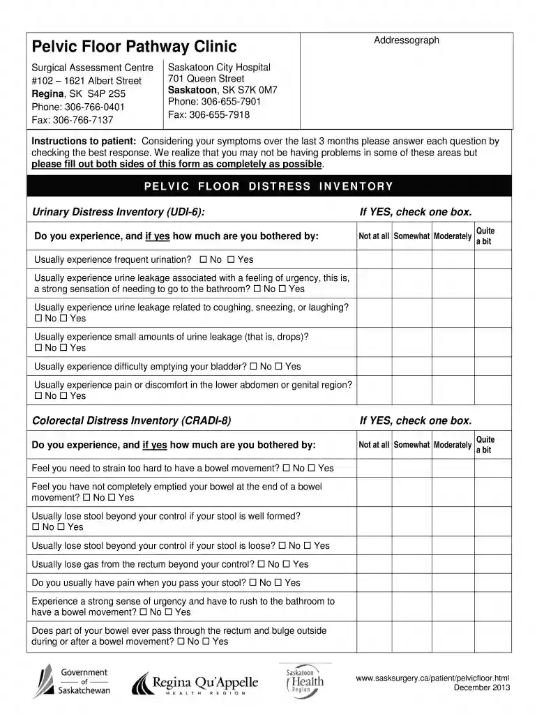 Pelvic Floor Distress Inventory Form Preview on Page 1
