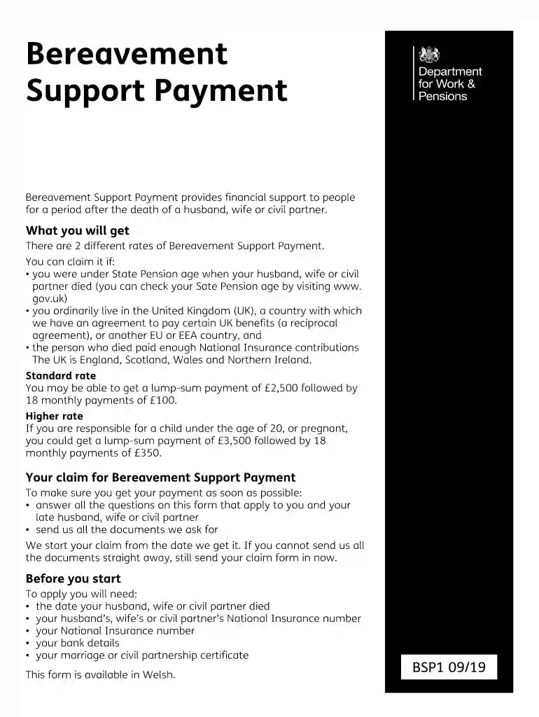 bsp1 form Preview on Page 1