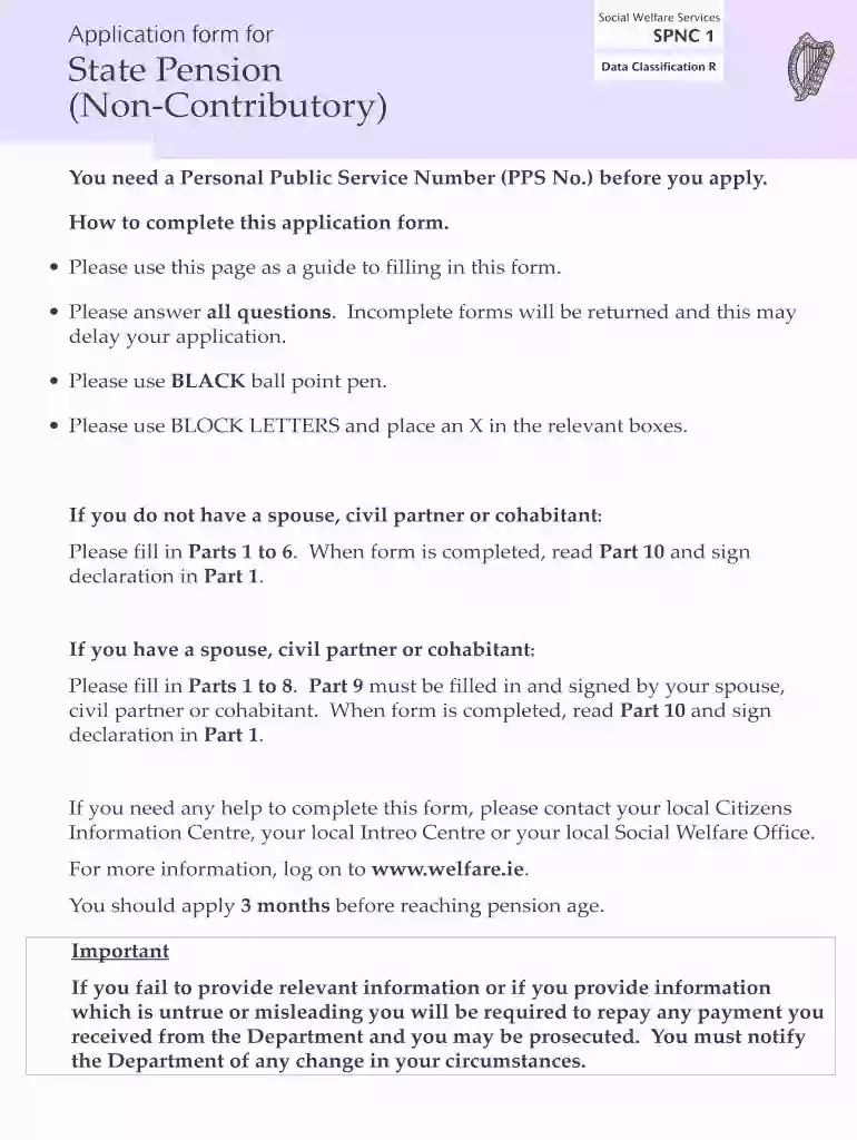 Fillable Online SPNC 1 - Welfare ie Fax Email Print - DocHub Preview on Page 1