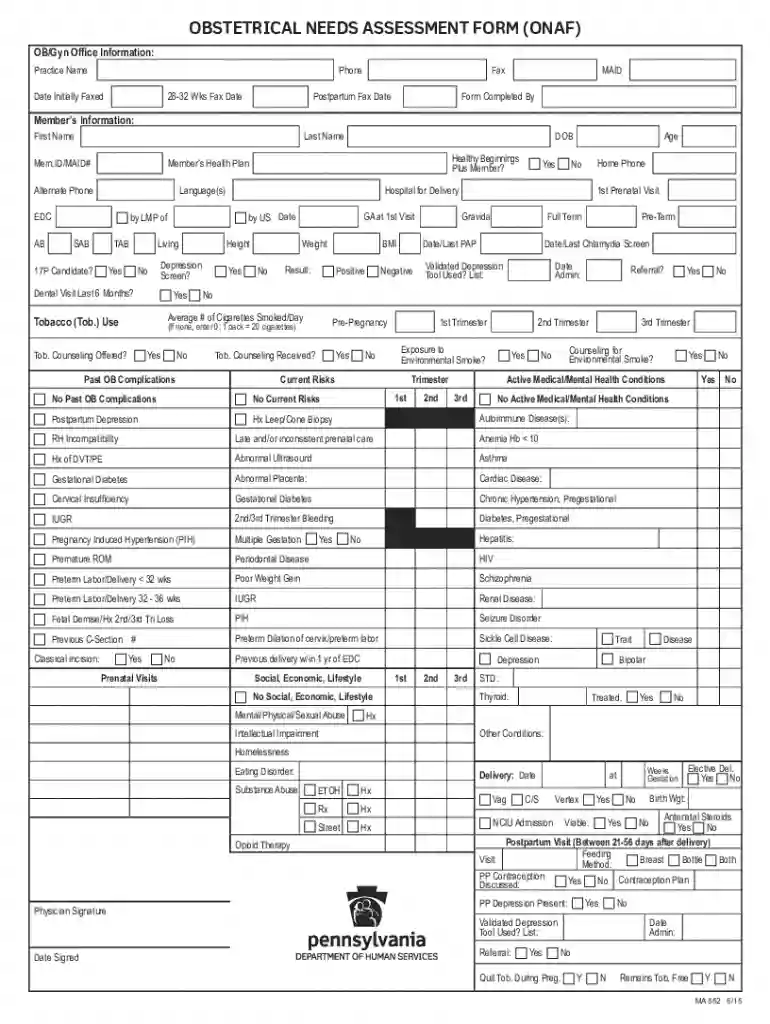 Obstetrical Needs Assessment Form (ONAF) Preview on Page 1