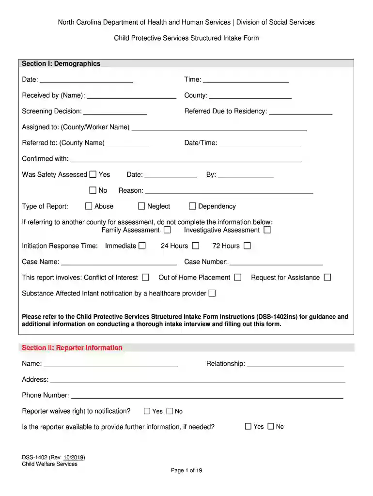 dss intake form Preview on Page 1