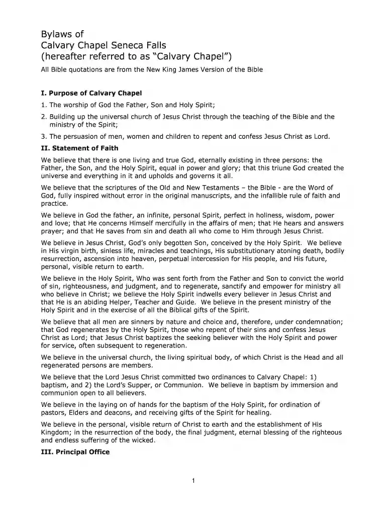 new york bylaws template Preview on Page 1