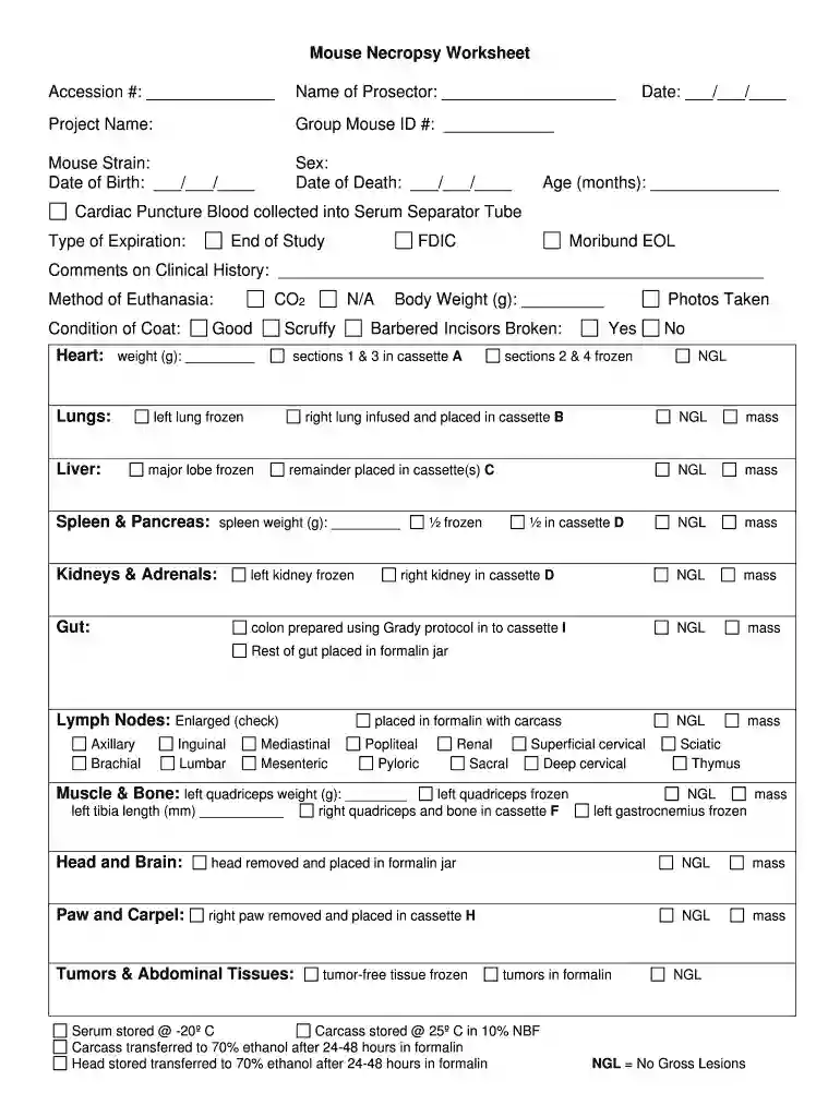 necropsy report template Preview on Page 1