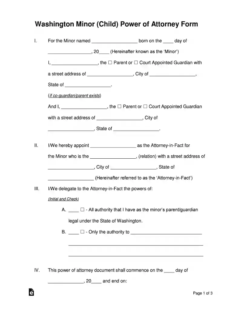 parental poa for a minor Preview on Page 1
