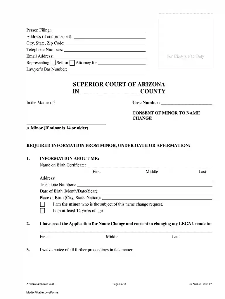 GUARDIANSHIP For an Adult 1 OR a person at least 17 5 Preview on Page 1