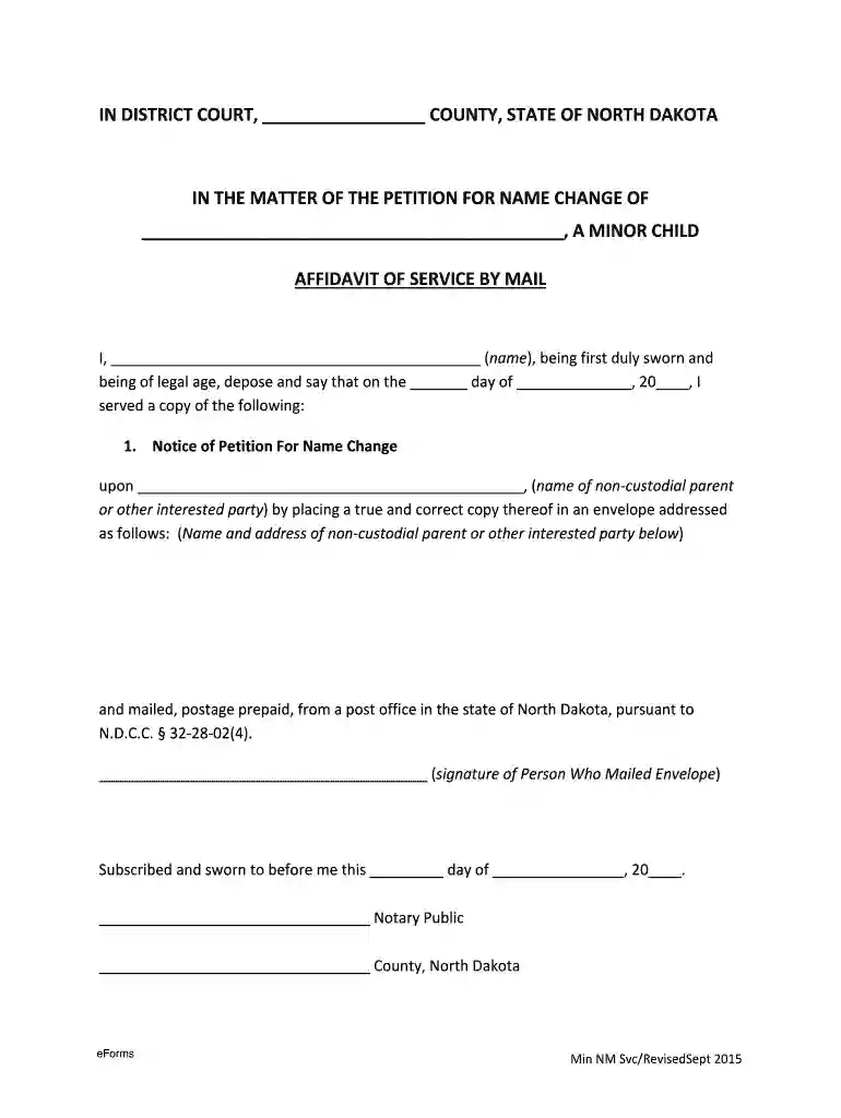 affidavit of service form Preview on Page 1