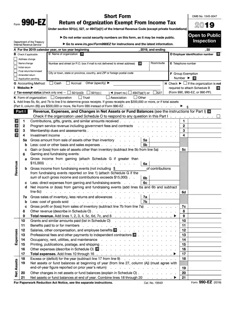 2019 990 ez Preview on Page 1
